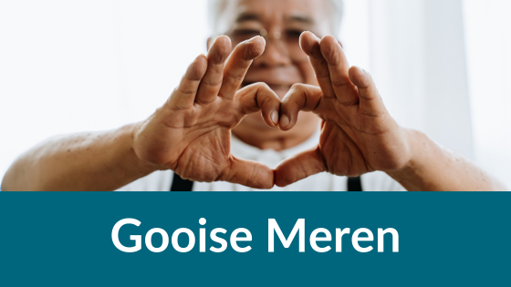 gooise meren